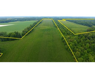 TRACT 16 - ILLINOIS LAND AUCTION - 4,810+/- ACRES OFFERED IN 85 TRACTS IN FRANKLIN, WILLIAMSON, HAMILTON & SALINE COUNTIES, ILLINOIS